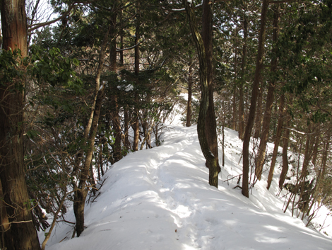 20140211hike (208)